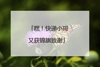 嘿！快递小哥又获锦旗致谢