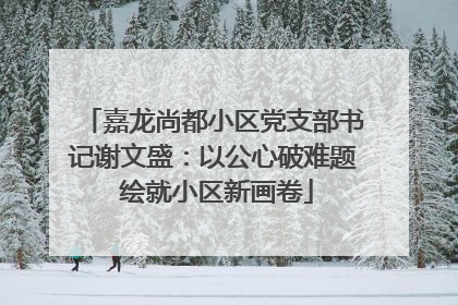 嘉龙尚都小区党支部书记谢文盛：以公心破难题 绘就小区新画卷