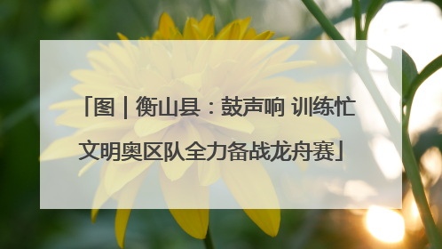 图｜衡山县：鼓声响 训练忙 文明奥区队全力备战龙舟赛