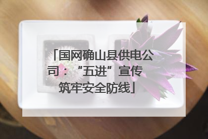 国网确山县供电公司：“五进”宣传 筑牢安全防线