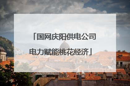 国网庆阳供电公司电力赋能桃花经济