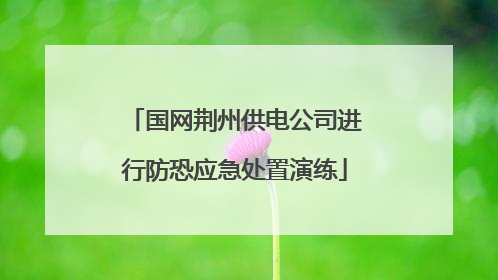 国网荆州供电公司进行防恐应急处置演练