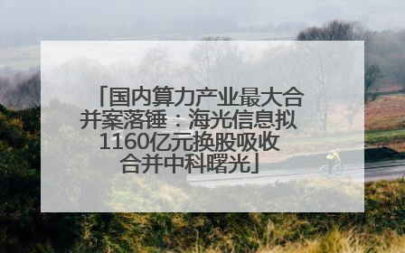 国内算力产业最大合并案落锤：海光信息拟1160亿元换股吸收合并中科曙光