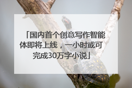 国内首个创意写作智能体即将上线，一小时或可完成30万字小说