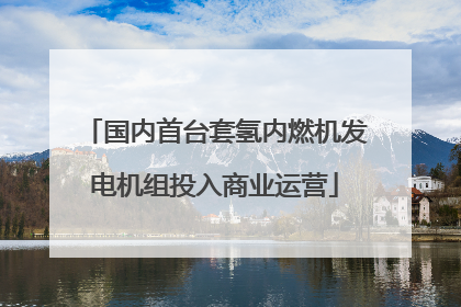 国内首台套氢内燃机发电机组投入商业运营