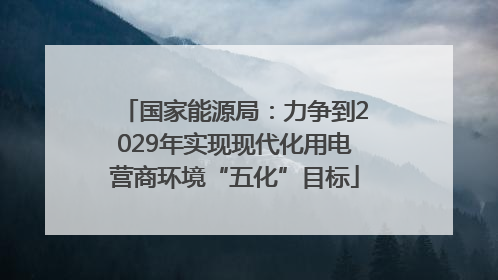 国家能源局：力争到2029年实现现代化用电营商环境“五化”目标