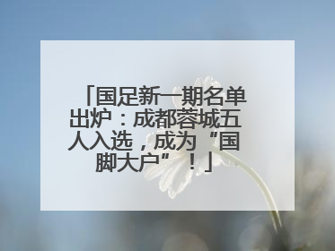 国足新一期名单出炉：成都蓉城五人入选，成为“国脚大户”！