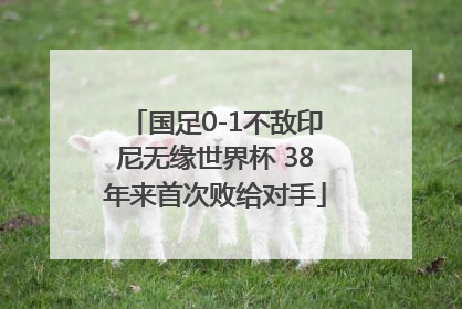 国足0-1不敌印尼无缘世界杯 38年来首次败给对手