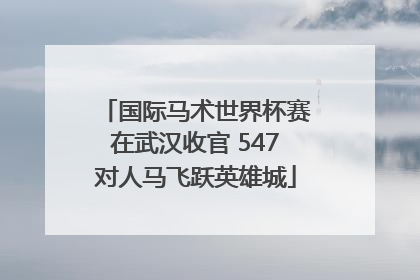 国际马术世界杯赛在武汉收官 547对人马飞跃英雄城