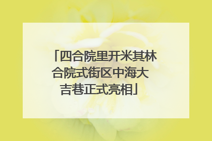 四合院里开米其林 合院式街区中海大吉巷正式亮相