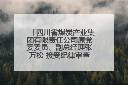 四川省煤炭产业集团有限责任公司原党委委员、副总经理张万松 接受纪律审查和监察调查