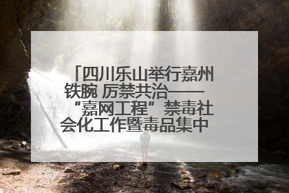 四川乐山举行嘉州铁腕 厉禁共治——“嘉网工程”禁毒社会化工作暨毒品集中销毁启动仪式