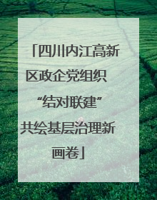四川内江高新区政企党组织 “结对联建” 共绘基层治理新画卷