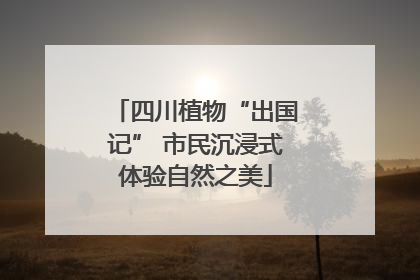 四川植物“出国记” 市民沉浸式体验自然之美