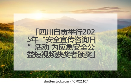 四川自贡举行2025年“安全宣传咨询日”活动 为应急安全公益短视频获奖者颁奖