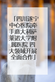 四川遂宁中心医院牵手意大利萨莱诺大学附属医院 四大领域开展全面合作