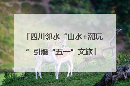 四川邻水“山水+潮玩”引爆“五一”文旅