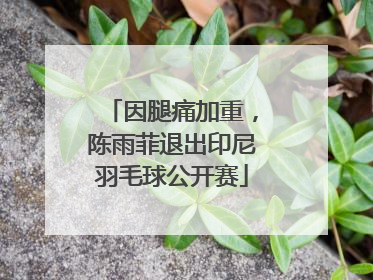 因腿痛加重，陈雨菲退出印尼羽毛球公开赛