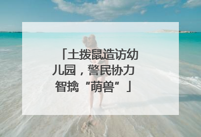 土拨鼠造访幼儿园，警民协力智擒“萌兽”
