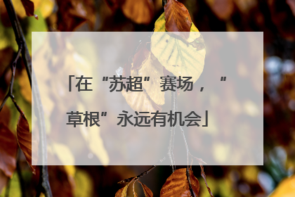 在“苏超”赛场，“草根”永远有机会