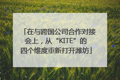 在与跨国公司合作对接会上，从“KITE”的四个维度重新打开潍坊