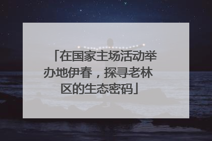 在国家主场活动举办地伊春，探寻老林区的生态密码