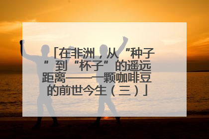 在非洲，从“种子”到“杯子”的遥远距离——一颗咖啡豆的前世今生（三）