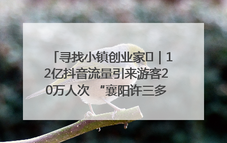 寻找小镇创业家㊱｜12亿抖音流量引来游客20万人次 “襄阳许三多”爆改家乡打造网红村
