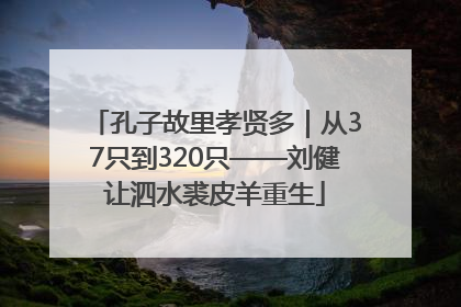 孔子故里孝贤多｜从37只到320只——刘健让泗水裘皮羊重生