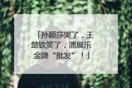 孙颖莎哭了，王楚钦笑了，潘展乐金牌“批发”！