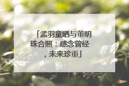 孟羽童晒与董明珠合照：感念曾经，未来珍重