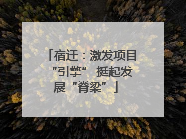 宿迁：激发项目“引擎” 挺起发展“脊梁”
