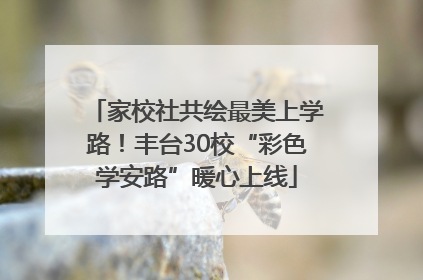 家校社共绘最美上学路！丰台30校“彩色学安路”暖心上线
