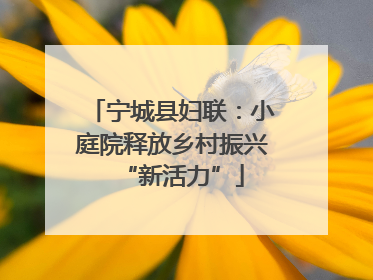 宁城县妇联：小庭院释放乡村振兴“新活力”
