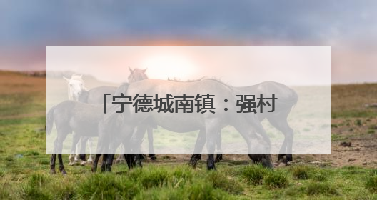 宁德城南镇：强村共富有“土”方