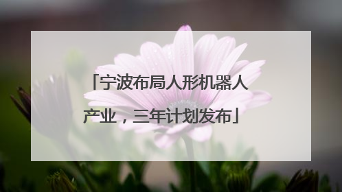 宁波布局人形机器人产业，三年计划发布