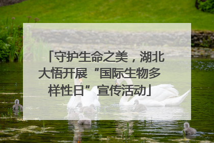 守护生命之美，湖北大悟开展“国际生物多样性日”宣传活动