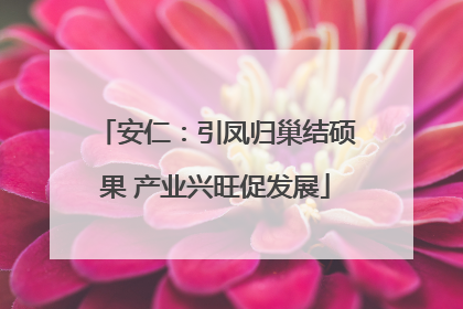 安仁：引凤归巢结硕果 产业兴旺促发展