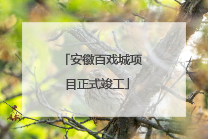 安徽百戏城项目正式竣工