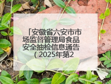 安徽省六安市市场监督管理局食品安全抽检信息通告（2025年第22期）