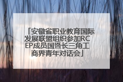 安徽省职业教育国际发展联盟组织参加RCEP成员国暨长三角工商界青年对话会