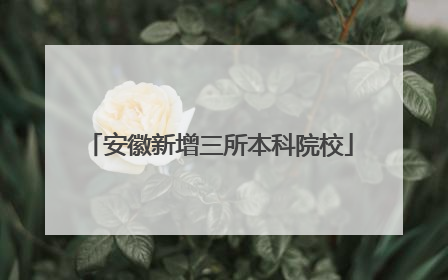 安徽新增三所本科院校