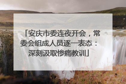 安庆市委连夜开会，常委会组成人员逐一表态：深刻汲取惨痛教训