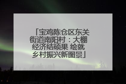 宝鸡陈仓区东关街道南阳村：大棚经济结硕果 绘就乡村振兴新图景