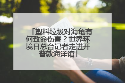 塑料垃圾对海龟有何致命伤害？世界环境日总台记者走进开普敦海洋馆