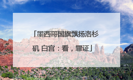 墨西哥国旗飘扬洛杉矶 白宫：看，罪证