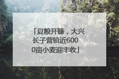 夏粮开镰，大兴长子营镇近6000亩小麦迎丰收