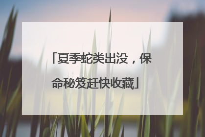 夏季蛇类出没，保命秘笈赶快收藏