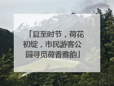 夏至时节，荷花初绽，市民游客公园寻觅荷香雅韵