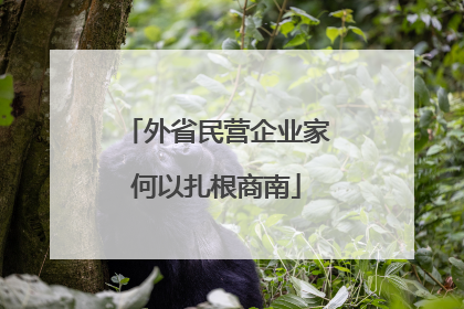外省民营企业家何以扎根商南